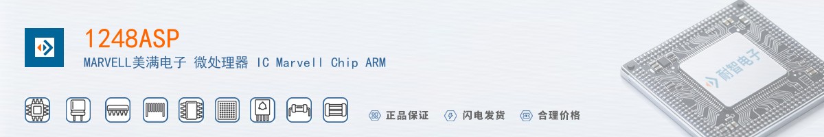 1248ASP������