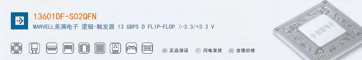 13601DF-S02QFN������