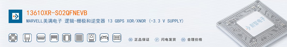 13610XR-S02QFNEVB������