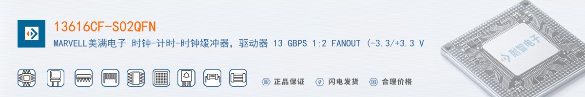 13616CF-S02QFN������