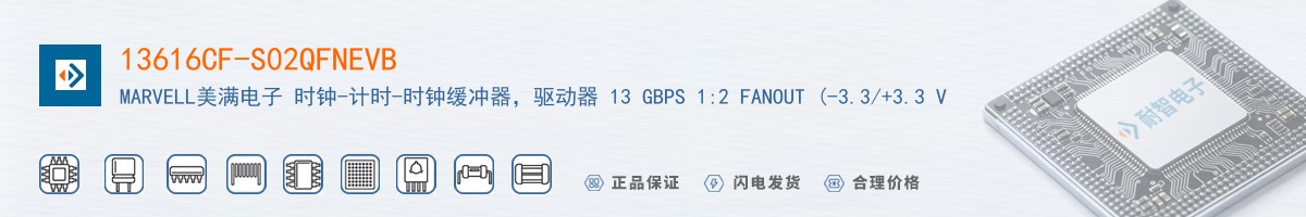 13616CF-S02QFNEVB������