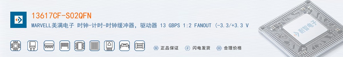 13617CF-S02QFN������