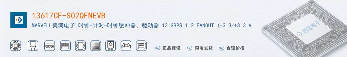 13617CF-S02QFNEVB������