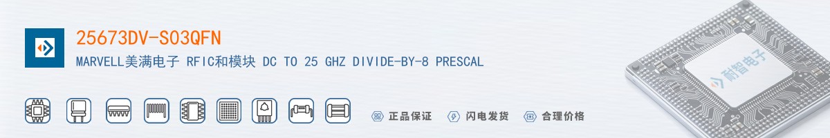 25673DV-S03QFN������