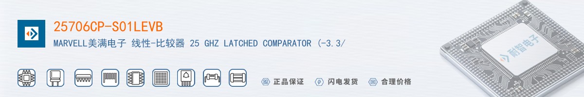 25706CP-S01LEVB������