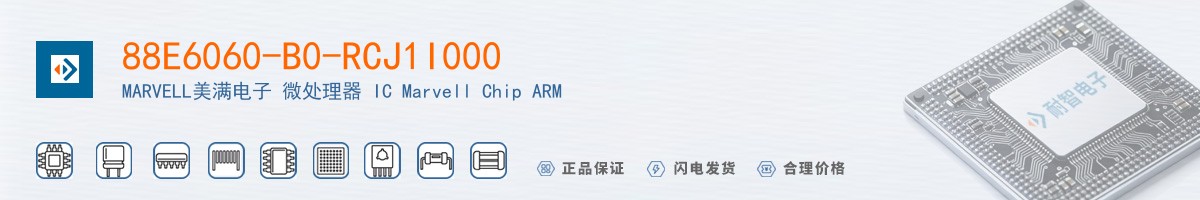 88E6060-B0-RCJ1I000������