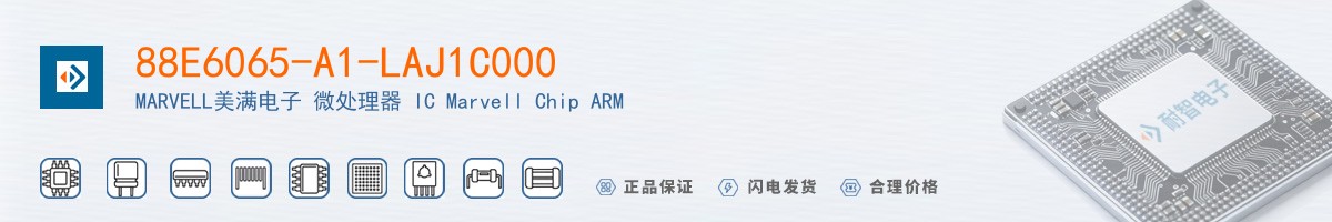 88E6065-A1-LAJ1C000������