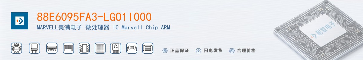 88E6095FA3-LGO1I000������