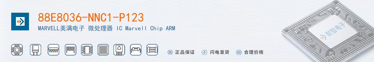 88E8036-NNC1-P123������