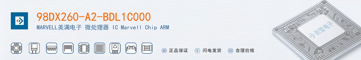 98DX260-A2-BDL1C000������