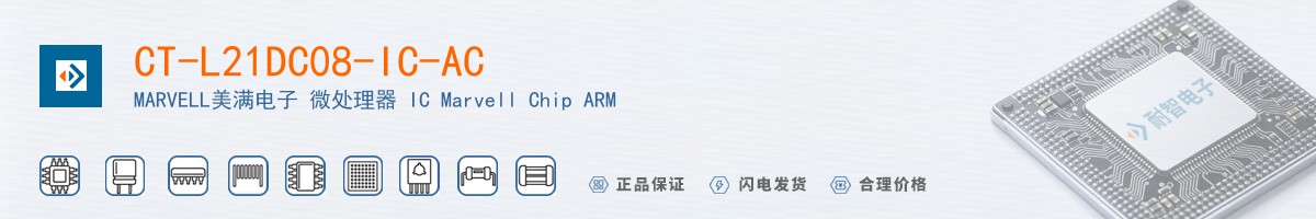 CT-L21DC08-IC-AC������