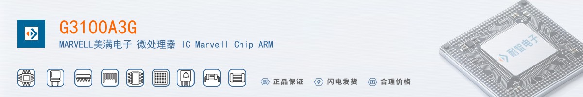 G3100A3G������