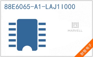 88E6065-A1-LAJ1I000