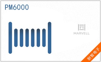 PM6000