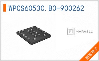WPCS6053C.B0-900262